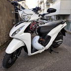 SPIKI Napoleon Ray Mirrors (Pair) – Anti-Glare Oval Mirrors with Short Stems, Shock-Resistant, Universal Fit for Motorcycles & Scooters