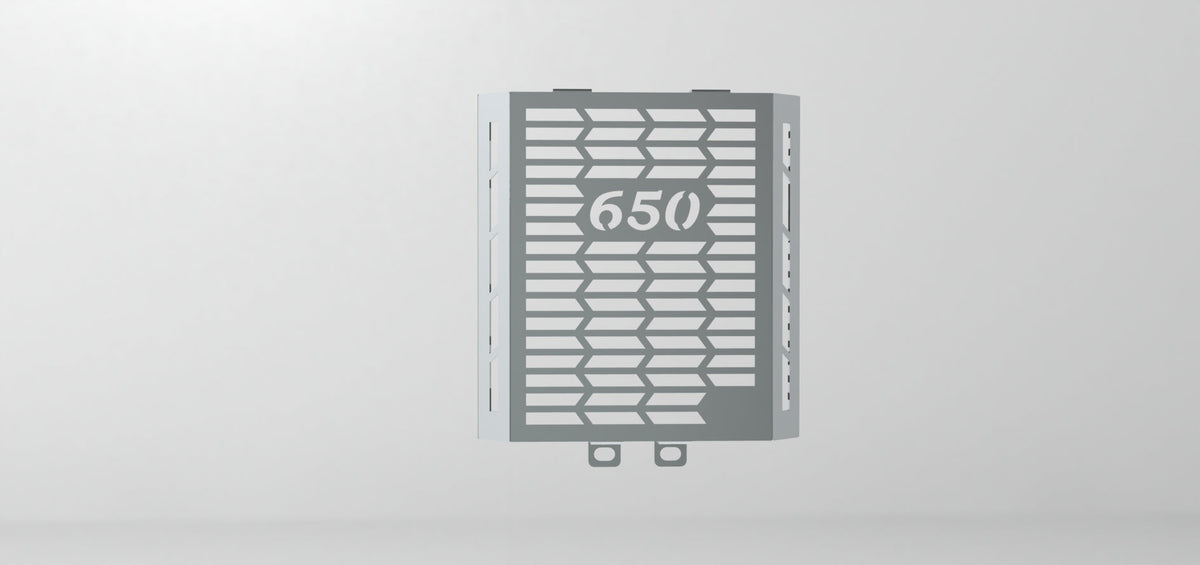 GT 650 / INTERCEPTOR 650 RADIATOR GAURD SS - SB 977