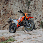 Legendary KTM 390 Enduro R Defender Crash Guard - Bright Orange