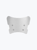 Brushed metal motorcycle windscreen with four mounting screws on white background
