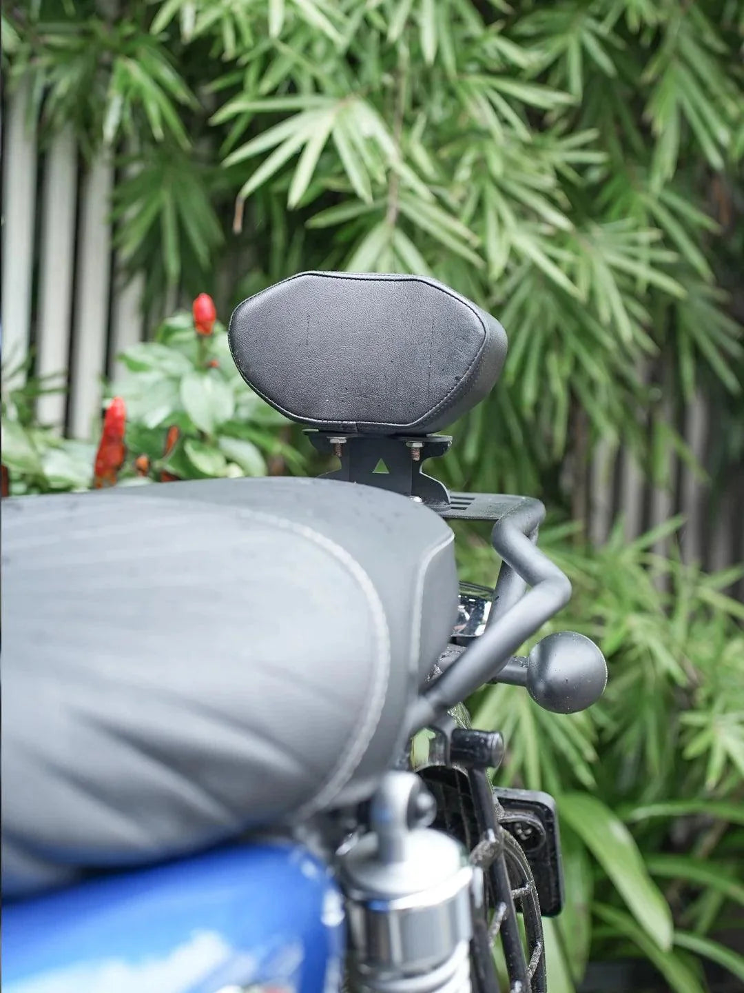 LCB backrest for Suzuki V-Strom Royal Enfield Himalayan 450 Honda CB200x – Moto Modz